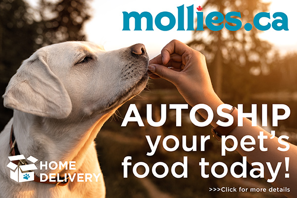 Mollies