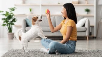Training Your Puppy