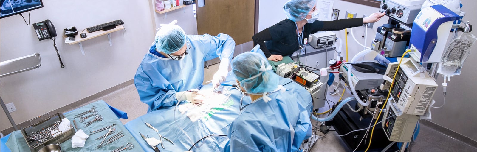 Chirurgie spécialisée