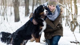 Winter Tips & Advice