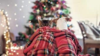 The Holidays Are Fast Approaching!