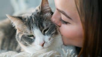 Perdre son meilleur ami, comprendre, accepter et avancer